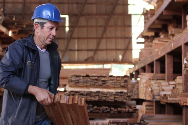 Se viene la “Semana de la madera” con diferentes actividades