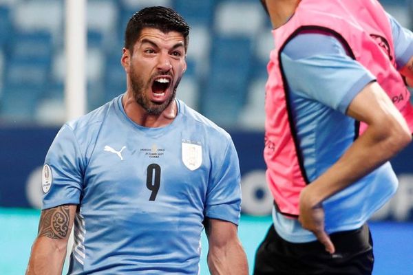 Uruguay no se guardará nada en el juego frente a Bolivia, avisa Tabárez - Fútbol Internacional - ABC Color