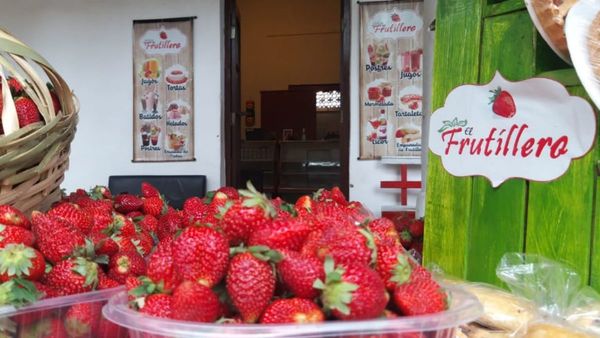 Asadito y chupi de frutilla, el novedoso combo de este año en la feria de Areguá