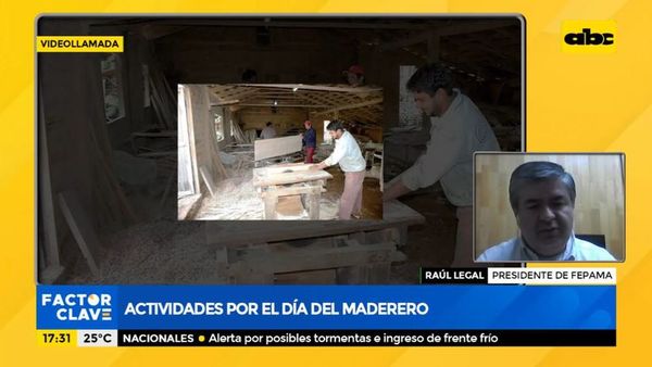 Actividades por el día del maderero - Factor Clave - ABC Color