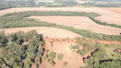 En Minga, dilatan recuperación de tierras municipales - ABC en el Este - ABC Color