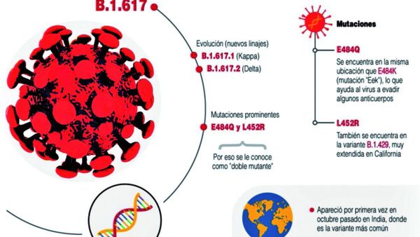 En agosto, incidencia de la variante delta llegaría al 90% en Europa