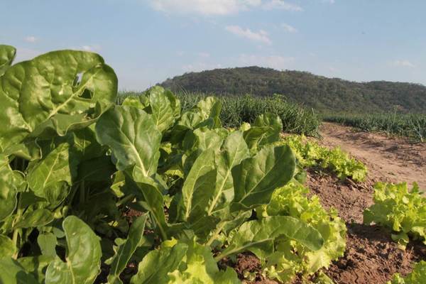 Ministros discutieron prioridades en agricultura de cara a conferencia de la OMC | .::Agencia IP::.