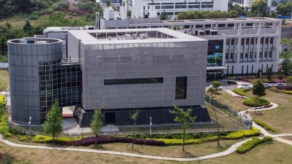 Un científico estadounidense recuperó 13 de las 200 secuencias del coronavirus hallado en Wuhan que habían sido eliminadas “sospechosamente”