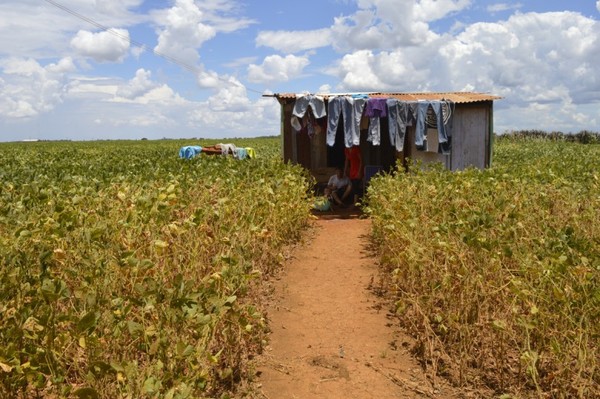 Guahory: Campesinos denuncian que fueron disparados por colonos brasileros | Ñanduti
