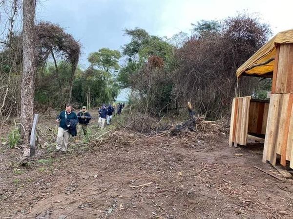 Constatan tala de árboles durante allanamiento – Diario TNPRESS