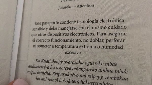 Estado tendrá que tener todo traducido en guaraní