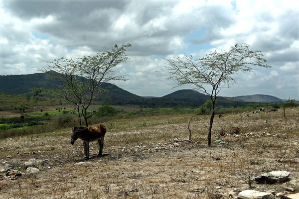La peor sequía en décadas pone en alerta la energía y el campo de Brasil - MarketData