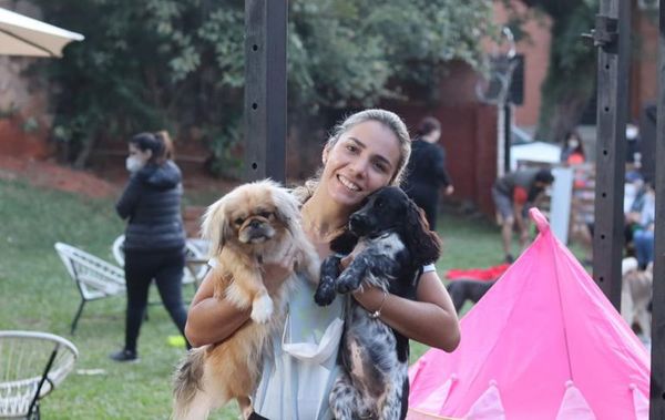 Perros con estilo: Cafetería para Firulais - Mascotas - ABC Color