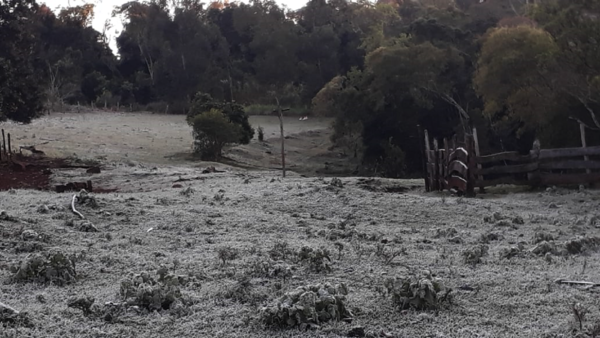 Frío polar: Temperatura bajará a 1ºC la próxima semana