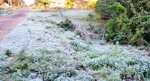 Frío polar: la próxima semana arrancará con heladas, escarcha y mínimas de 1°C - Nacionales - ABC Color