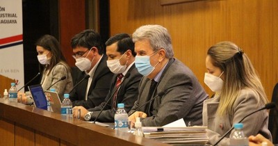 La Nación / UIP apoya plan de inversión de la Ande y pide mejorar servicios