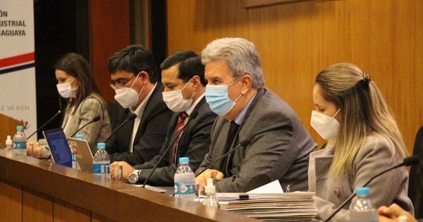 La Nación / UIP apoya plan de inversión de la Ande y pide mejorar servicios