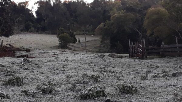 Meteorología anuncia ingreso de “frío polar” para la próxima semana