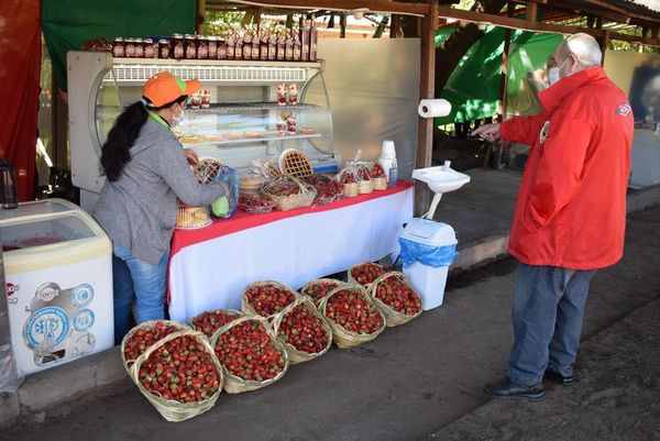 Coordinan últimos detalles para la “Feria de la Frutilla 2021” que iniciará en una semana en Areguá - Nacionales - ABC Color