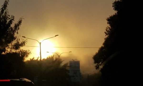 Viernes cálido según meteorología