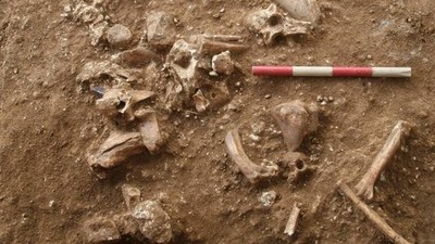Hallan en Israel una nueva especie humana desconocida