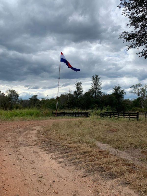 Incautan ganado de hacienda que era utilizada por una red de narcos en la frontera con Bolivia  - Nacionales - ABC Color