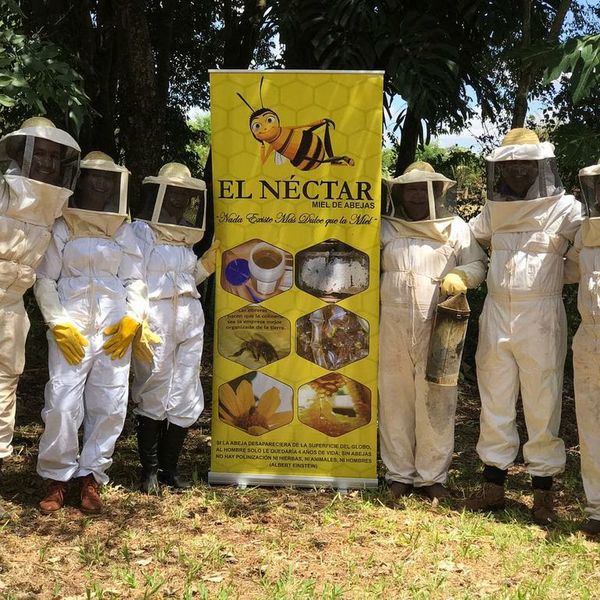 Agroturismo una modalidad emergente en el Alto Paraná - ABC en el Este - ABC Color