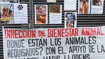 Rescatistas protestan por la desaparición de varios animales