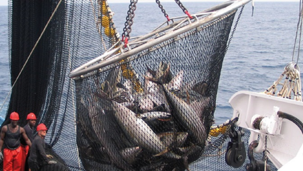 Pesca industrial en reserva marina de Perú preocupa a ecologistas