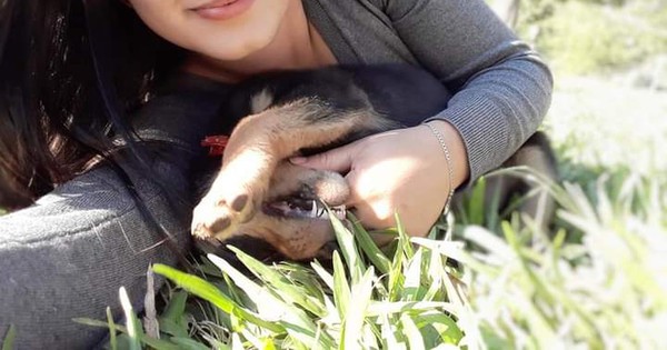 La Nación / Abdo ordena brindar contención psicológica a familiares de Lady Luna