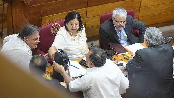 Disgusto y posible quiebre en FG, tras votos divididos para Salomón