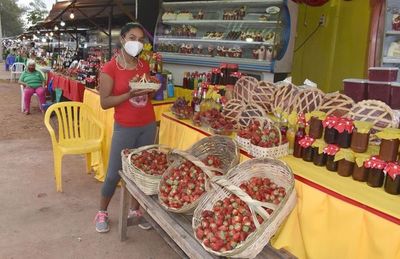 Pionera en producción de frutilla - 293° Aniversario de Itauguá - ABC Color