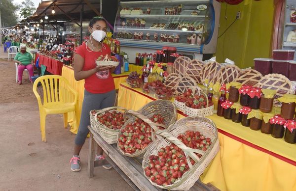Pionera en producción de frutilla - 293° Aniversario de Itauguá - ABC Color