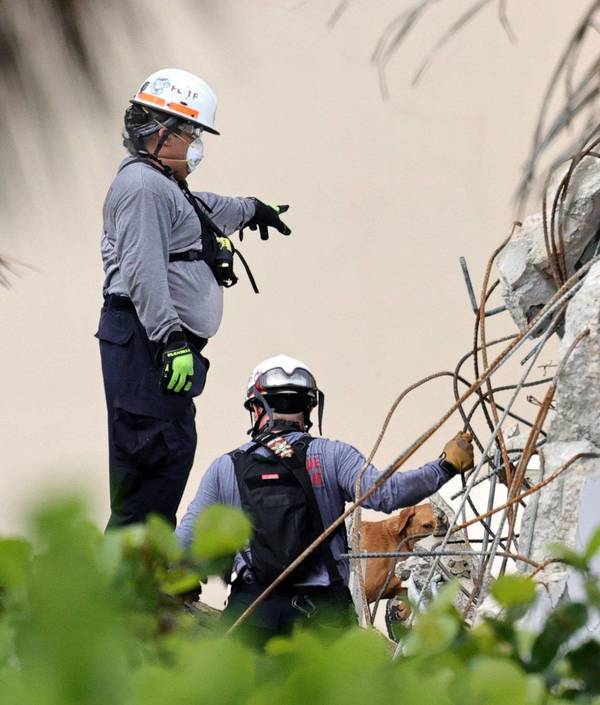 Siguen sin encontrar sobrevivientes tras derrumbe en Miami | .::Agencia IP::.