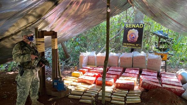 Senad desmantela narcocampamentos y destruye más de 5 toneladas de marihuana