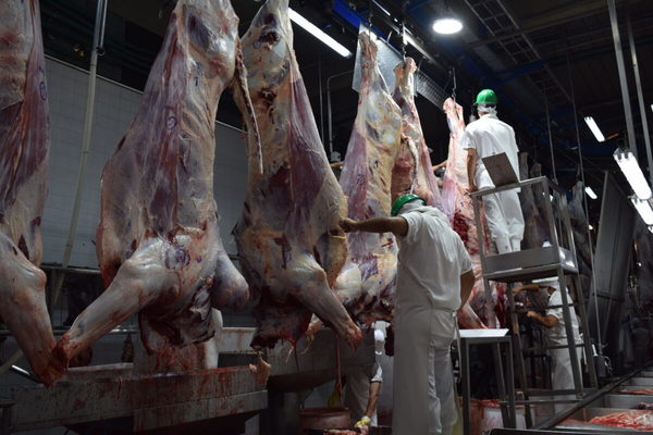 Brasil: faena de bovino de Mato Grosso bajó 10% anual en mayo