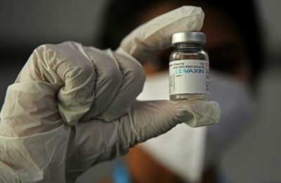 Investigación sobre la vacuna india cerca a Bolsonaro en su peor momento - Mundo - ABC Color