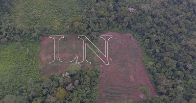 La Nación / Mbaracayú: El pulmón de Canindeyú ante el desafío de la conservación
