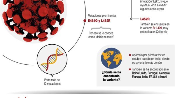 La variante delta, entre la apertura y el aumento de las restricciones