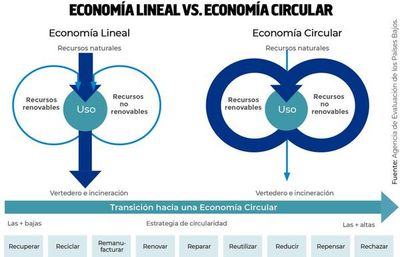 Estructura sociodemográfica y políticas ambientales en el abordaje de la economía circular - Económico - ABC Color