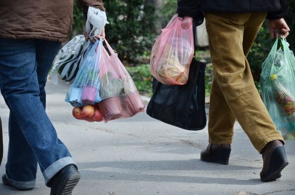 La ley de disminución del uso de bolsas de plástico empieza a regir este julio: ¿En qué te afecta? - MarketData