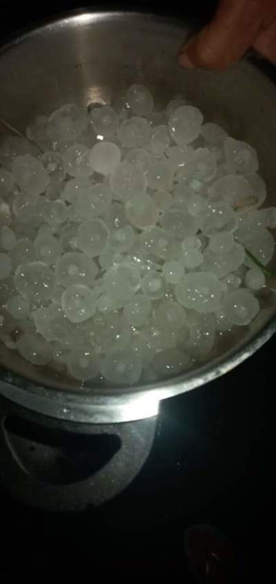 Caaguazú: volaron techos y cayeron árboles tras fuerte temporal con granizadas