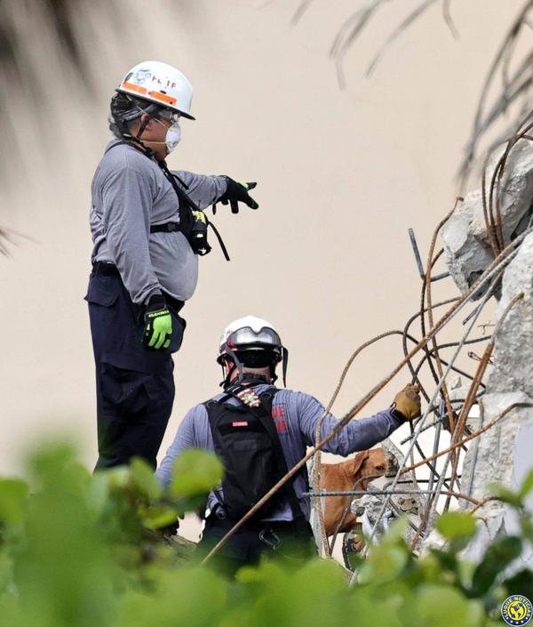 Siguen sin encontrar sobrevivientes tras derrumbe en Miami •