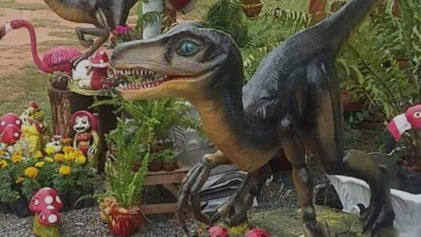 Figuras de dinosaurios son furor en redes sociales