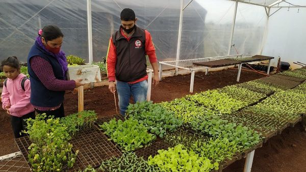 Vivero municipal ayuda a vecinos a cultivar en Bella Vista