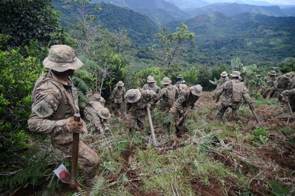 La producción potencial de cocaína en Bolivia alcanzó un nuevo récord en 2020