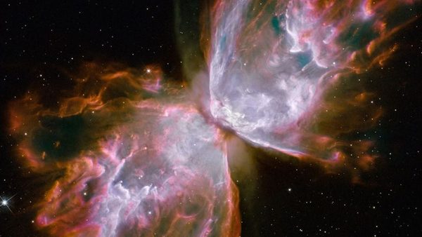La NASA muestra la imagen de una violenta mariposa cósmica “que pica como una abeja” | Ñanduti