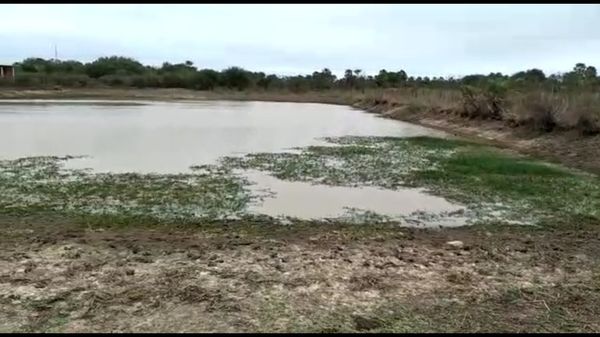 Pobladores de Fuerte Olimpo buscan agua del lodazal para beber ante escasez - Nacionales - ABC Color
