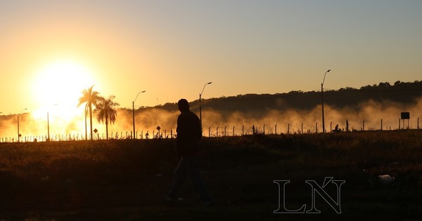 La Nación / MAG alerta que heladas podrían afectar millones de hectáreas de cultivo