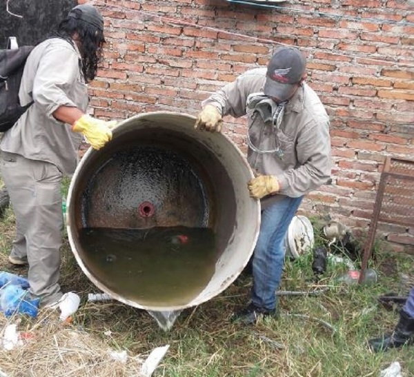 Eliminar criaderos es sinónimo de frenar casos de Dengue
