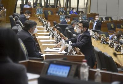 Convocan a Pedro Halley para conocer situación de los fondos jubilatorios del IPS - Nacionales - ABC Color