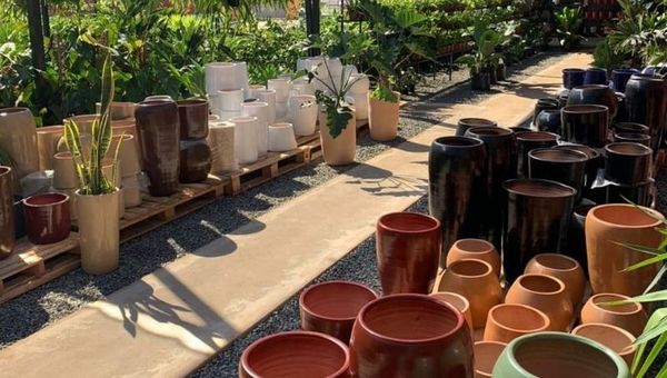 Las macetas esmaltadas son las aliadas del momento (Deco & Plants ofrece las mejores)