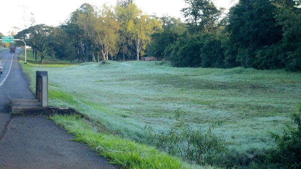 Itapúa y Misiones, departamentos que exhiben paisajes de heladas