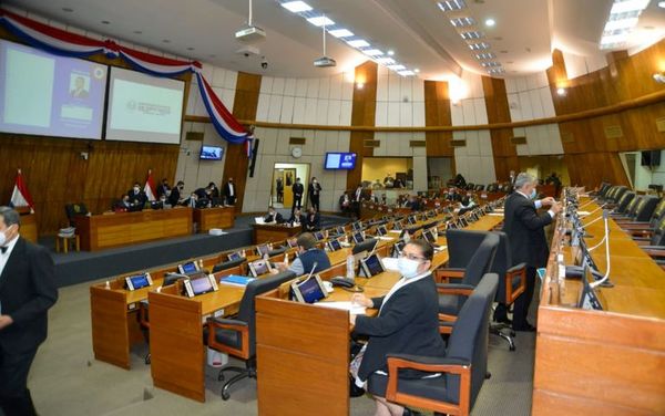 Diputados volverán a analizar salario de médicos y requisitos del Tribunal Militar - Nacionales - ABC Color